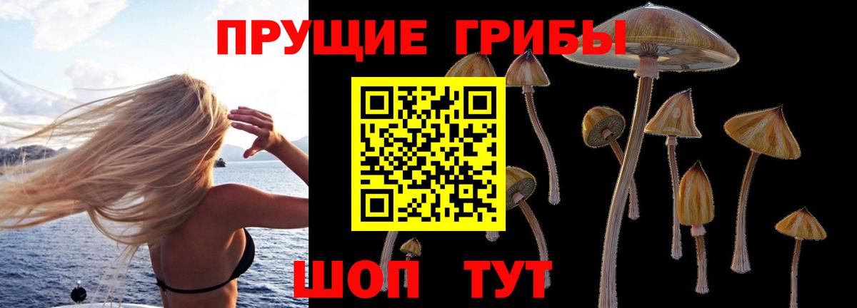 Ангарск  Галлюциногенные грибы Magic Shrooms  Вход с VPN 